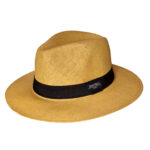 The Panama