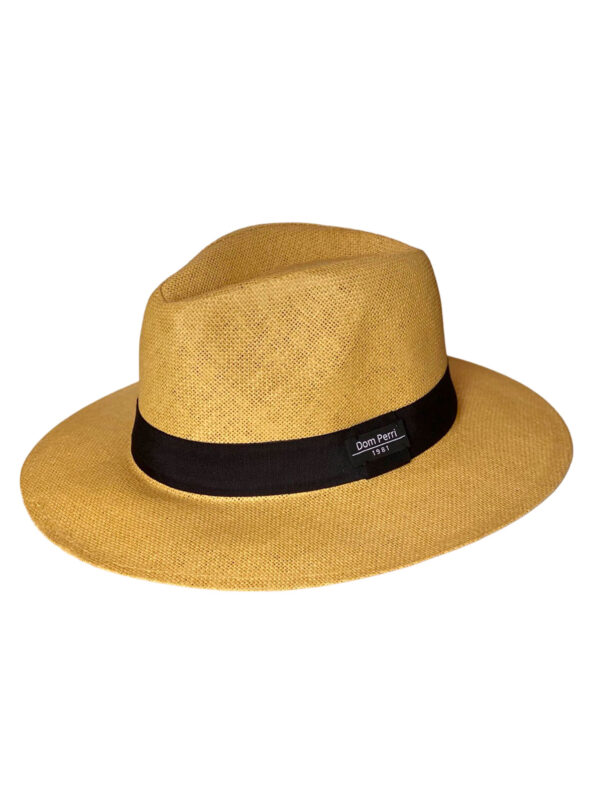The Panama